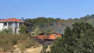 Orman yangınına müdahale sürüyor: Ekiplerin yanı sıra vatandaşlar da seferber oldu