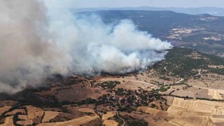Orman yangınında alevler yerleşim yerlerine doğru ilerliyor