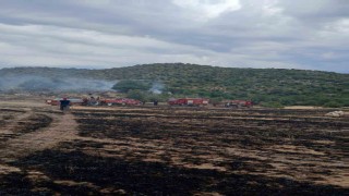Ormana sıçrayan anız yangını korkuttu