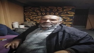 Ormanda kestiği ağaç üzerine devrilen orman işçisi hayatını kaybetti
