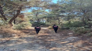 Ormanlar hem karadan hem havadan korunuyor