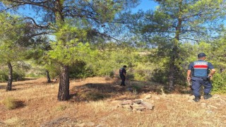 Ormanlara giren ve ateş yakanlara ceza yağdı