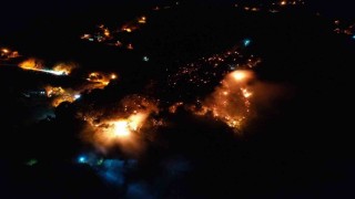 Ormanlık alanda yangın: Ekipler ve vatandaşlar alevleri 3 saatte söndürdü