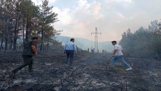 Ormanlık alandaki örtü yangını kontrol altına alındı