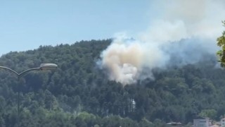 Örtü yangını büyümeden söndürüldü