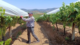 Örtücülerin kavurucu sıcaklarla zorlu mesaisi