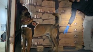 Osmangazi Köprüsü girişinde 9 kilo kokain maddesi ele geçirildi