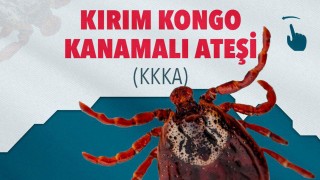 Osmaniye İl Sağlık Müdürlüğü'nden Kırım Kongo Kanamalı Ateşi Hakkında Uyarı
