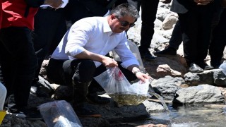 Osmaniye’de 10.000 Sazan Balığı Yavrusu Doğaya Bırakıldı