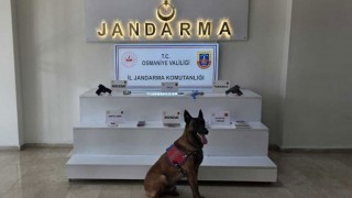 Osmaniye’de 138 Asayiş Olayı Aydınlatıldı