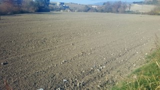 Osmaniye’de Don ve Kuraklık Mağduru Çiftçiler Dikkat!