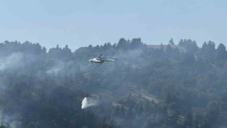 Osmaniyedeki orman yangını kontrol altına alındı