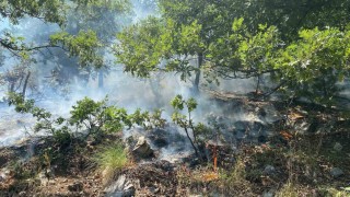 Osmaniyenin Düziçi ilçesinde orman yangını başladı