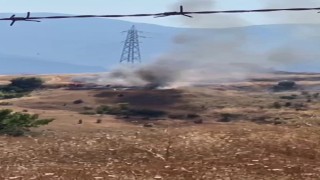 Ot yangını 2 dönüm alana zarar verdi