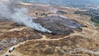 Ot yangınında 3 dönümlük alan zarar gördü