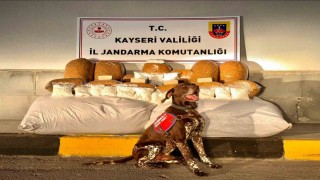 Otobüste 450 kilogram kaçak tütün ele geçirildi