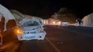 Otomobil domuza çarptı