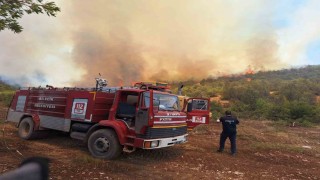(ÖZEL) Orman yangınlarında var gücüyle çalışan itfaiyeciler hayvanlara da büyük şefkat gösteriyor
