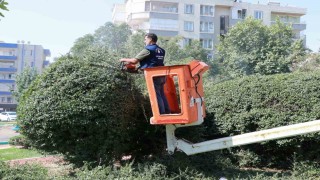 Parklarda yenileme ve güzelleştirme çalışması