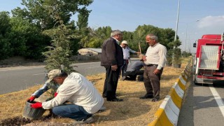 Patnosta yeşil alan çalışmaları sürüyor