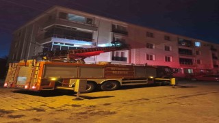 Pencereye sıkışan kuş için itfaiye seferber oldu