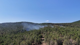 Pendikte ormanlık alanda çıkan yangına müdahale ediliyor