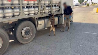 Piknik tüpü içinde eroin nakliyatı