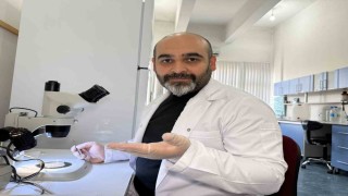 Prof. Dr. Keskin: Keneyi strese sokacak uygulamalardan kaçınalım