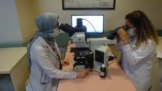 Prof. Dr. Tartar, Dünya genelinde 350 milyondan fazla kişi hepatit ile yaşamaktadır