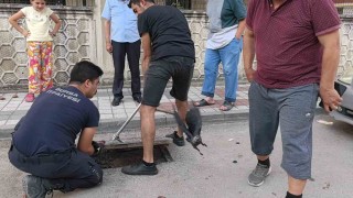 Rögarda mahsur kalan kargayı itfaiye kurtardı