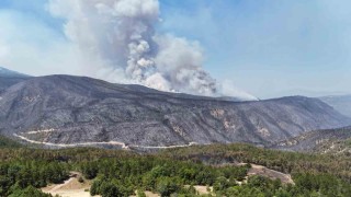 Rüzgar, Karabükteki orman yangınlarını yeniden alevlendirdi