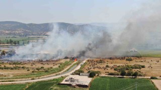 Rüzgarla büyüyen yangın, hayvan çiftliğini tehdit etti