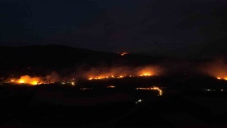 Sakarya-Bilecik sınırında alevler yeniden yükseldi