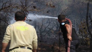 Sakarya-Bilecik sınırında alevler yeniden yükseldi: Hızlı müdahale yayılmayı önledi