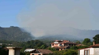 Sakarya Hendekteki orman yangını kontrol altına alındı