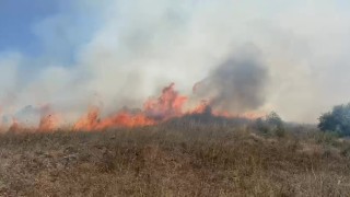 Sakarya Kaynarcada makilik alanda yangın çıktı