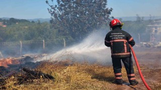 Sakaryada 3 farklı noktada çıkan yangınlar kontrol altına alındı