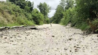 Sakaryada korkutan manzara: Doğaseverlerin gözdesi kurudu