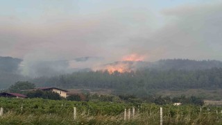 Sakaryada orman yangınına 8 helikopter, 5 uçak müdahale ediyor