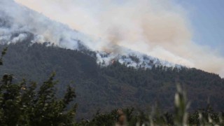 Sakaryada yangın 24 saattir sürüyor, alevler zaman zaman yeniden yükseliyor