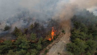 Sakaryada yangın 45 saattir sürüyor: Alevler zaman zaman yeniden yükseliyor