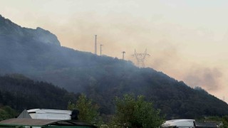 Sakaryadaki orman yangını kısmen kontrol altına alındı