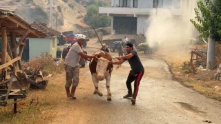 Sakaryadaki orman yangınına müdahale sürüyor: Bir mahalle tahliye ediliyor