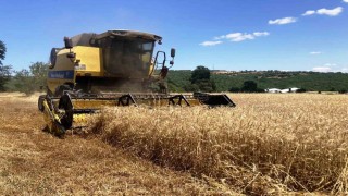 Samsun bitkisel üretimde hedef büyüttü