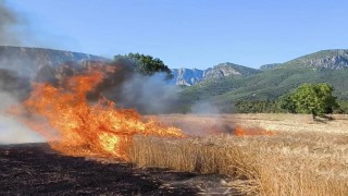 Samsun itfaiyesi, 6 ayda 263 orman ve anız yangınına müdahale etti
