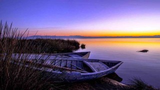 Samsunda 3 milyon TL avlanma pulu geliri elde edildi