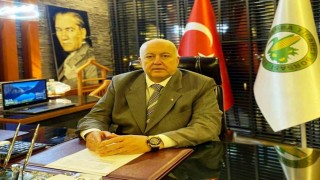 Samsunda fındık rekoltesi tahmini belli oldu: 91 bin 456 ton
