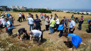 Samsunda orman yangınlarına karşı seferberlik