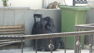 Samsunda şüpheli çanta alarmı