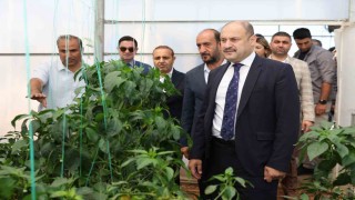 Şanlıurfa Büyükşehir Belediyesi Ata Tohumuna sahip çıkıyor